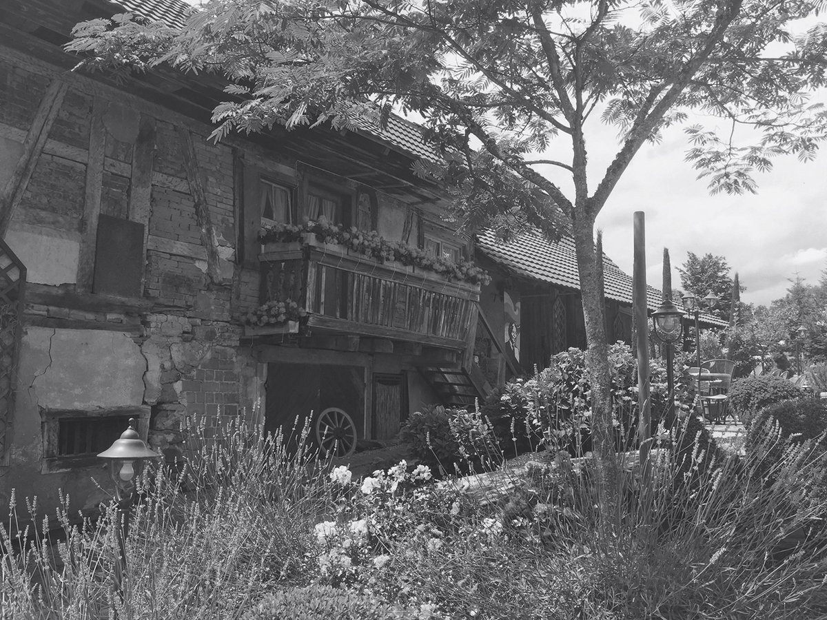 德國餐廳（餐飲）品牌標(biāo)志設(shè)計和品牌設(shè)計——logo與馬牧場背景相關(guān)，品牌設(shè)計，餐飲品牌設(shè)計，餐飲logo設(shè)計，餐廳品牌設(shè)計，品牌標(biāo)志設(shè)計，深圳品牌設(shè)計