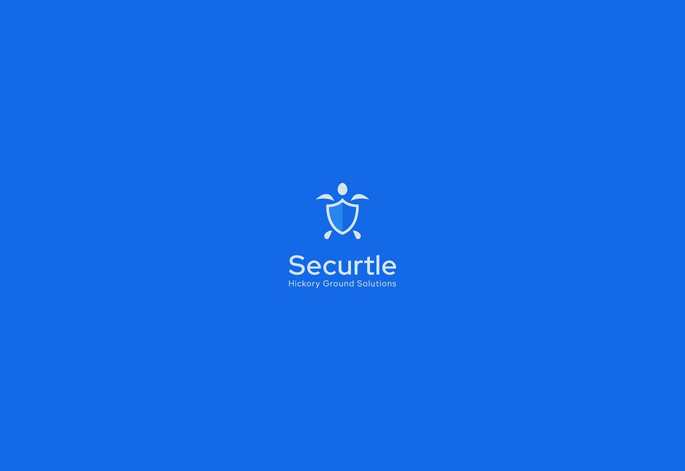 Securtle 網(wǎng)絡(luò)金融咨詢企業(yè)品牌視覺設(shè)計，金融品牌設(shè)計，品牌形象設(shè)計，品牌設(shè)計公司，左右格局